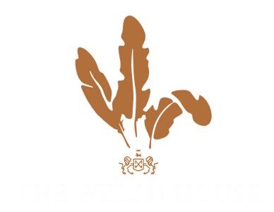 brand-kit-logo